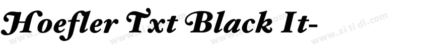Hoefler Txt Black It字体转换